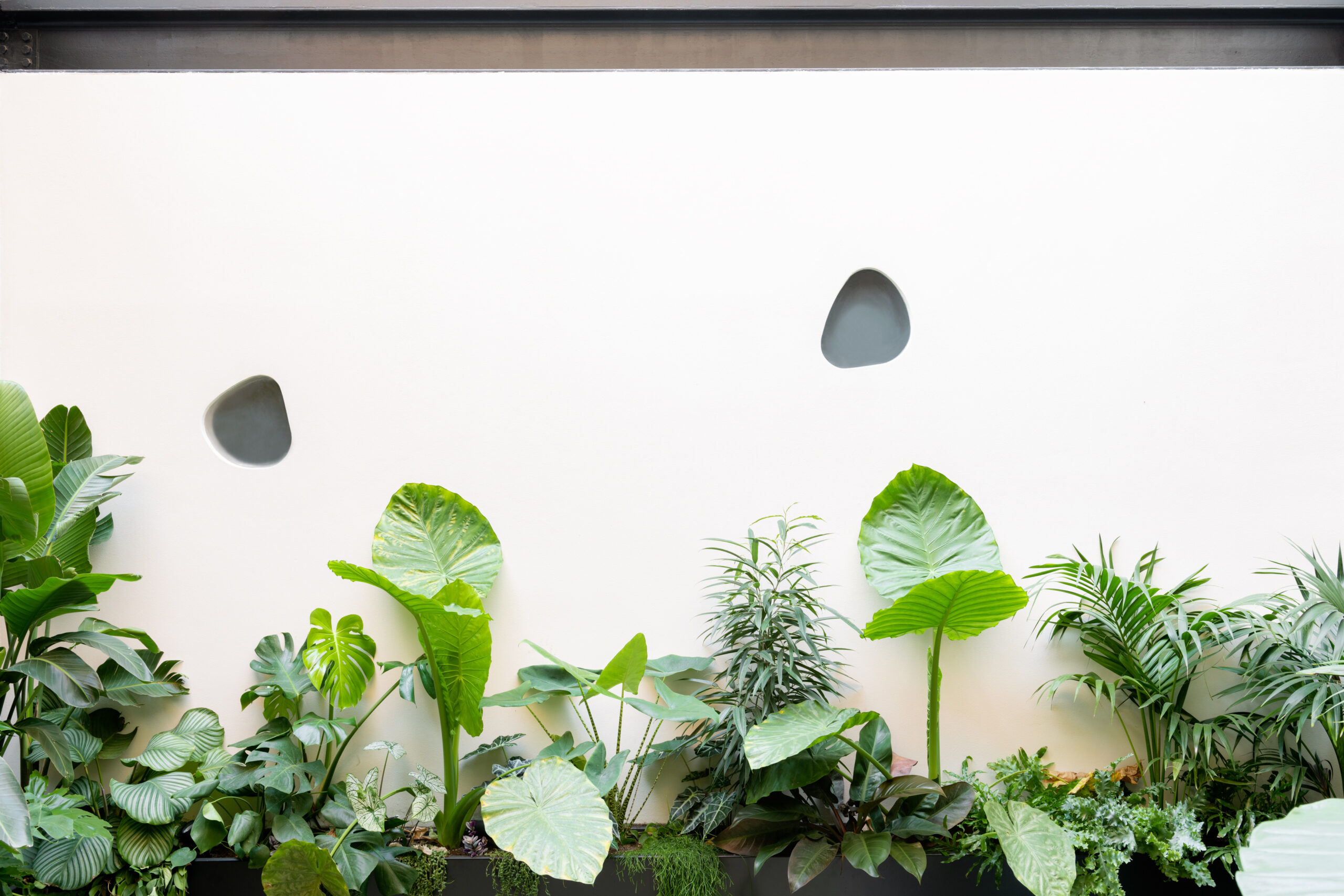 caarpa_excinemaporno_DSC_6418